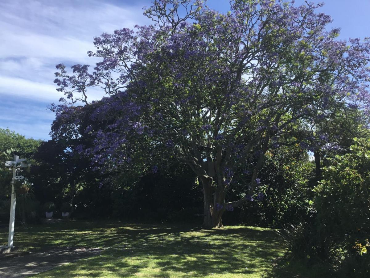 Pa Road B&B Kerikeri Nz Exterior photo