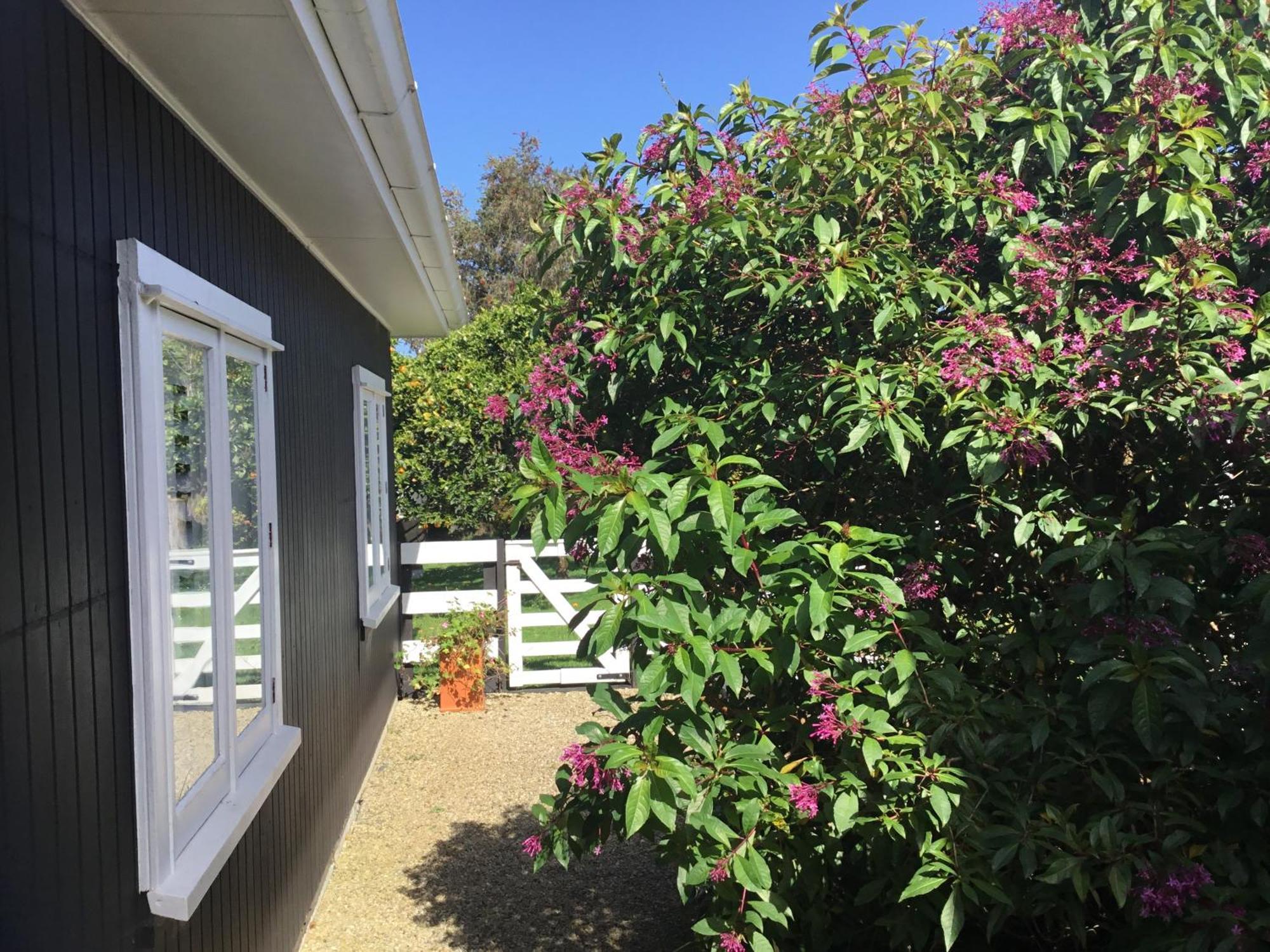 Pa Road B&B Kerikeri Nz Exterior photo