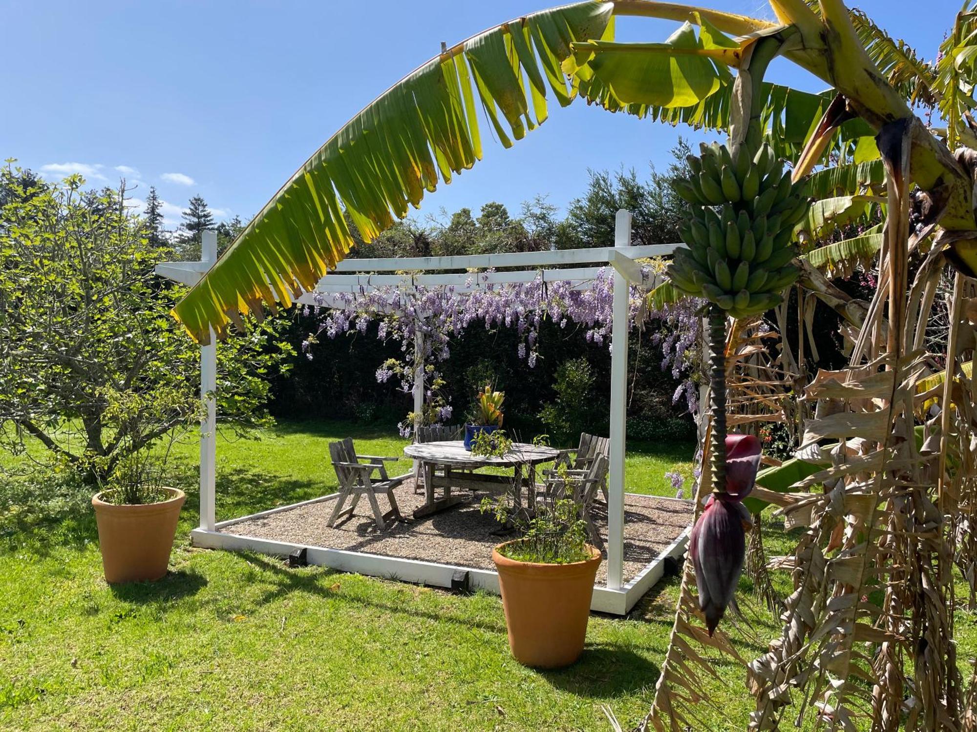 Pa Road B&B Kerikeri Nz Exterior photo